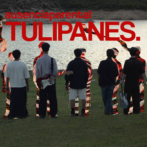 Tulipanes