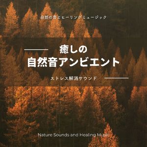 非日常を感じる～癒しの自然音アンビエント～