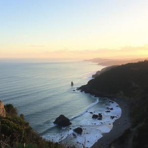 Gritando, Mas Sem Som