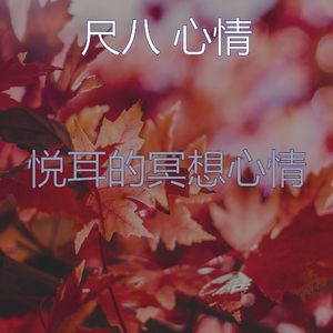 抚慰的瑜珈回忆