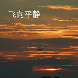 飞往平静的航班