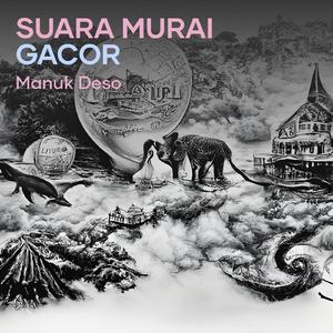 Suara Murai Gacor