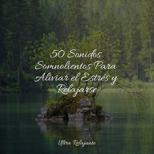 Popurrí Para Una Noche Lluviosa