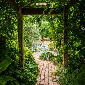 正在学习温柔的轻音乐