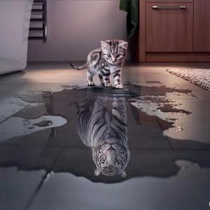 对不起我还爱你（翻自 回音哥）