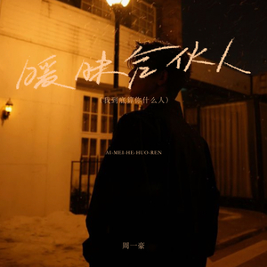 暧昧合伙人 (我到底算你什么人)