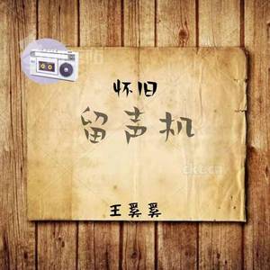 山茶花 - 王奚奚