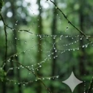 Gentle Grounded Healing