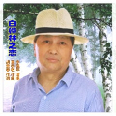 白桦林之恋(快三) (Remix)