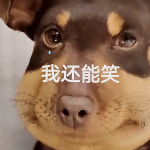 一条穿过所有点的直线