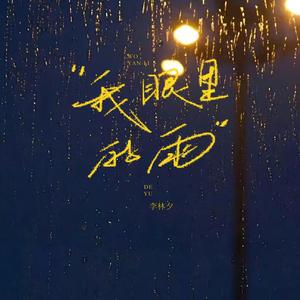 我眼里的雨