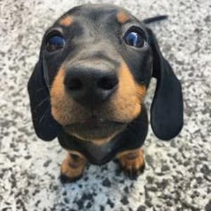 Haciendo Ruido (slowed)