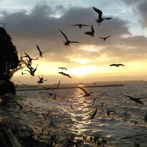 DJ-思念无声V2（执念Remix remix）