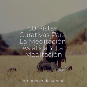 Celebración del Bosque Encantado