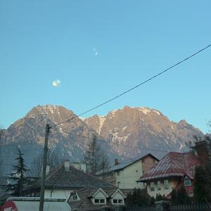 Povesti