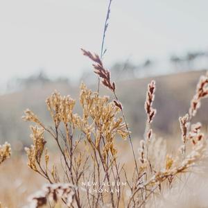 ของขวัญที่ดีที่สุดของฉัน คือเธอ