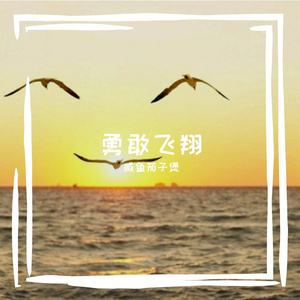 勇敢飞翔