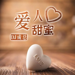 耳朵轰炸机 (DJ版)