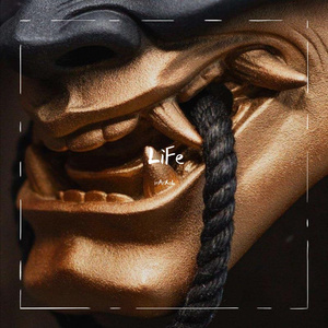 LiFe