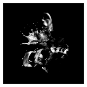 Hicieron Lo Que Querían y Lo Siguen Haciendo