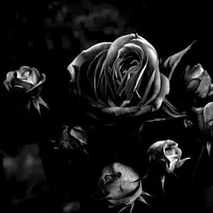 Drag Ur Body Thru The Darkness