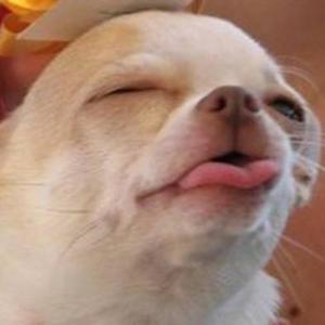 Cuando empieza la webonada :/