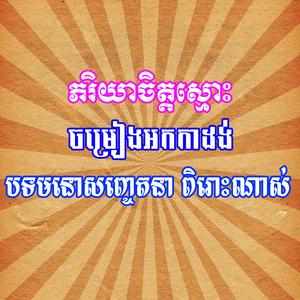 ភរិយាចិត្តស្មោះ អកកាដង់ ច្រៀងពិរោះណាស់
