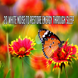 Neutralising Noise And Music