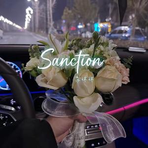 Polar shadow (口水版)