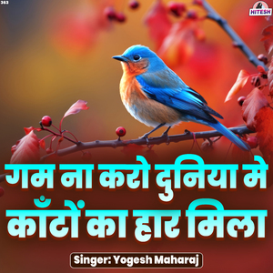 Gam Na Karo Duniya Mein Kaanton Ka Haar Mila