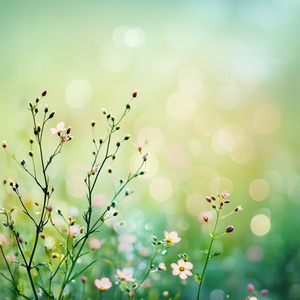 Überall Blumen tanzen