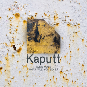 What Will You Do (Original Mix)