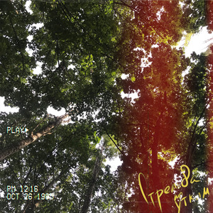 Оставленный след