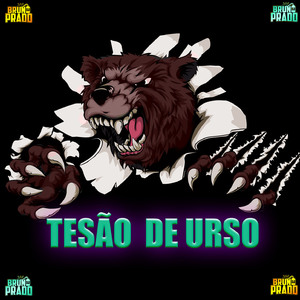 TESÃO DE URSO - ELE TE TACA TACA