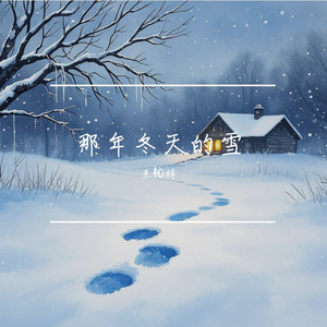 那年冬天的雪