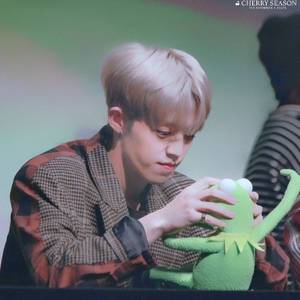 Without You（压低帽子）【崔胜澈生贺中文填词】