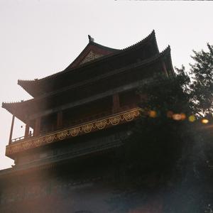 At Dusk I Bend Over a Deserted Pool