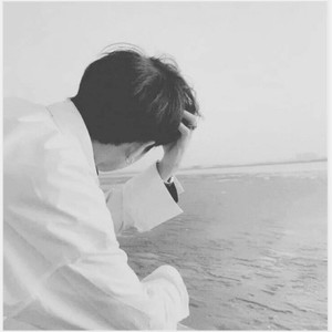 樱花草(苏鹤版)