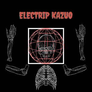 Electrip kazuo