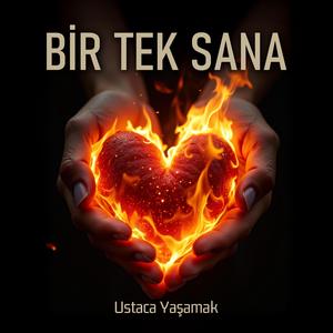 Bir Tek Sana