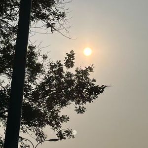 成都的回音