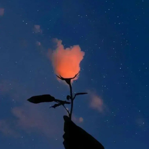 脑海心里都是你