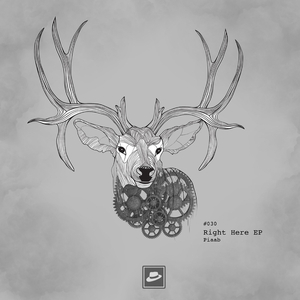 Who’s This (Original Mix)