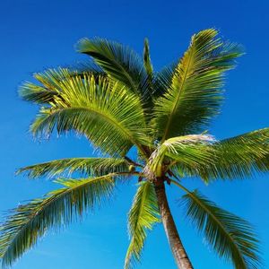 多想在平庸的生活拥抱你