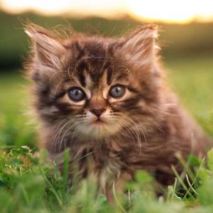 ⁡⁡ㅤㅤㅤ 爱真的需要勇气