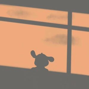 “在晴天里一路向北会有花海吗”