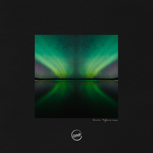 Borealis (Thylacine Remix)