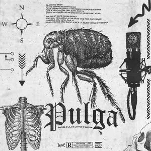 Pulga