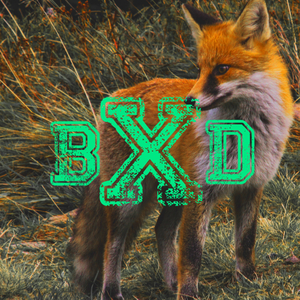 Corneria (From "Star Fox")