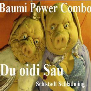 Schweinelied(Du oidi Sau) (Party Rimix)
